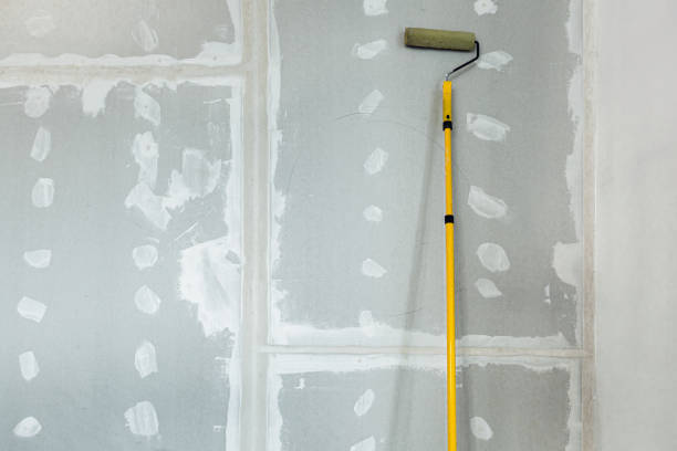 Best Drywall Sanding and Smoothing  in Edgar, WI