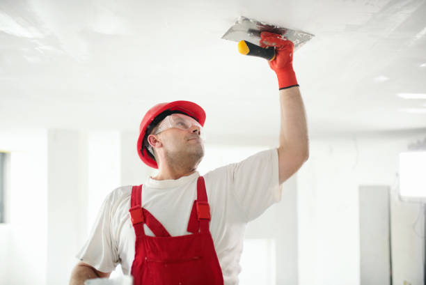 Best Drywall Installation  in Edgar, WI